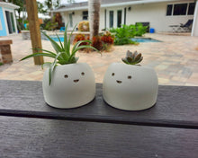 Load image into Gallery viewer, Sunshine - Tiny Plant Holder - Rootshell Planters