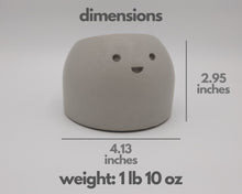 Load image into Gallery viewer, Jolly - Small Succulent Planter - Rootshell Planters