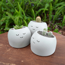 Load image into Gallery viewer, Sleepyhead - Tiny Plant Holder - Rootshell Planters