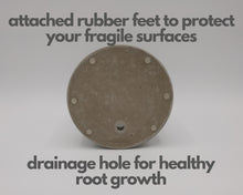 Load image into Gallery viewer, Jolly - Small Succulent Planter - Rootshell Planters