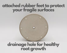 Load image into Gallery viewer, Merry - Small Succulent Planter - Rootshell Planters