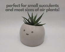 Load image into Gallery viewer, Jolly - Small Succulent Planter - Rootshell Planters
