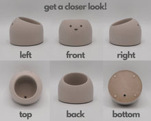 Load image into Gallery viewer, Sunshine - Tiny Plant Holder - Rootshell Planters