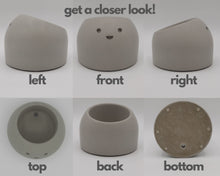 Load image into Gallery viewer, Jolly - Small Succulent Planter - Rootshell Planters