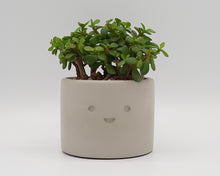 Load image into Gallery viewer, Merry - Small Succulent Planter - Rootshell Planters