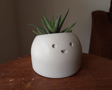 Load image into Gallery viewer, Jolly - Small Succulent Planter - Rootshell Planters
