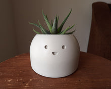 Load image into Gallery viewer, Jolly - Small Succulent Planter - Rootshell Planters