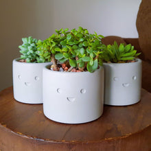 Load image into Gallery viewer, Merry - Small Succulent Planter - Rootshell Planters