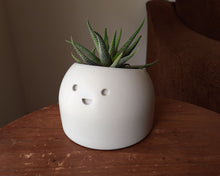 Load image into Gallery viewer, Jolly - Small Succulent Planter - Rootshell Planters