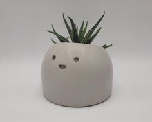 Load image into Gallery viewer, Jolly - Small Succulent Planter - Rootshell Planters