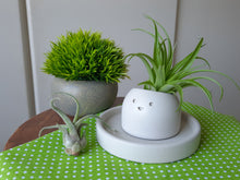 Load image into Gallery viewer, Sunshine - Tiny Plant Holder - Rootshell Planters