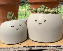 Load image into Gallery viewer, Sleepyhead - Tiny Plant Holder - Rootshell Planters