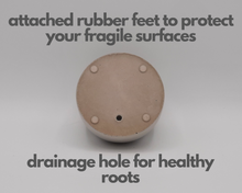 Load image into Gallery viewer, Sunshine - Tiny Plant Holder - Rootshell Planters