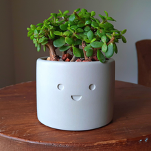Load image into Gallery viewer, Merry - Small Succulent Planter - Rootshell Planters