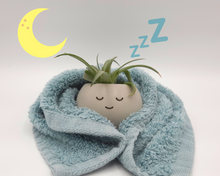 Load image into Gallery viewer, Sleepyhead - Tiny Plant Holder - Rootshell Planters