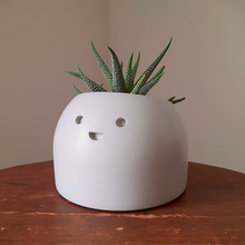 Load image into Gallery viewer, Jolly - Small Succulent Planter - Rootshell Planters
