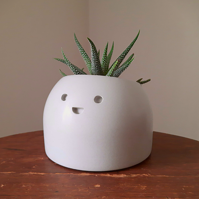 Jolly - Small Succulent Planter - Rootshell Planters