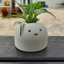 Load image into Gallery viewer, Sunshine - Tiny Plant Holder - Rootshell Planters
