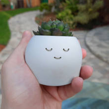 Load image into Gallery viewer, Sleepyhead - Tiny Plant Holder - Rootshell Planters
