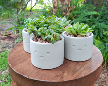 Load image into Gallery viewer, Merry - Small Succulent Planter - Rootshell Planters

