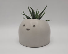 Load image into Gallery viewer, Jolly - Small Succulent Planter - Rootshell Planters

