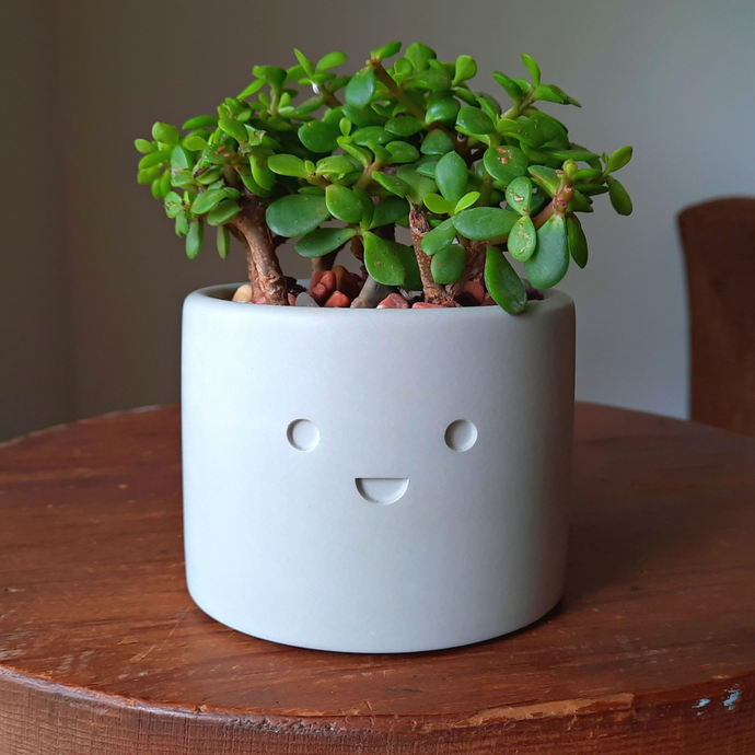 Merry - Small Succulent Planter - Rootshell Planters